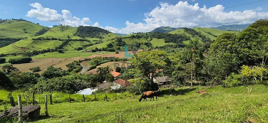 SÍTIO FORMADO À VENDA EM ITAJUBÁ-MG - Foto 3