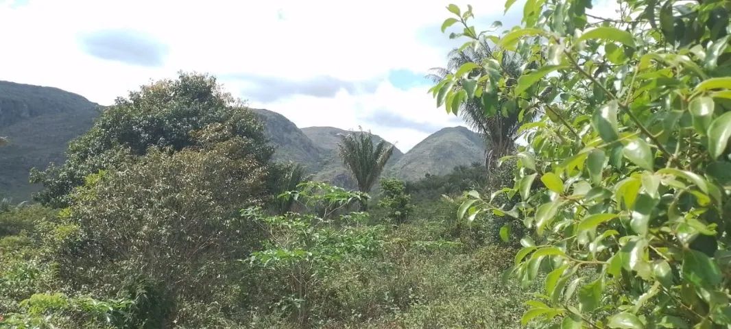 Propriedade rural à venda