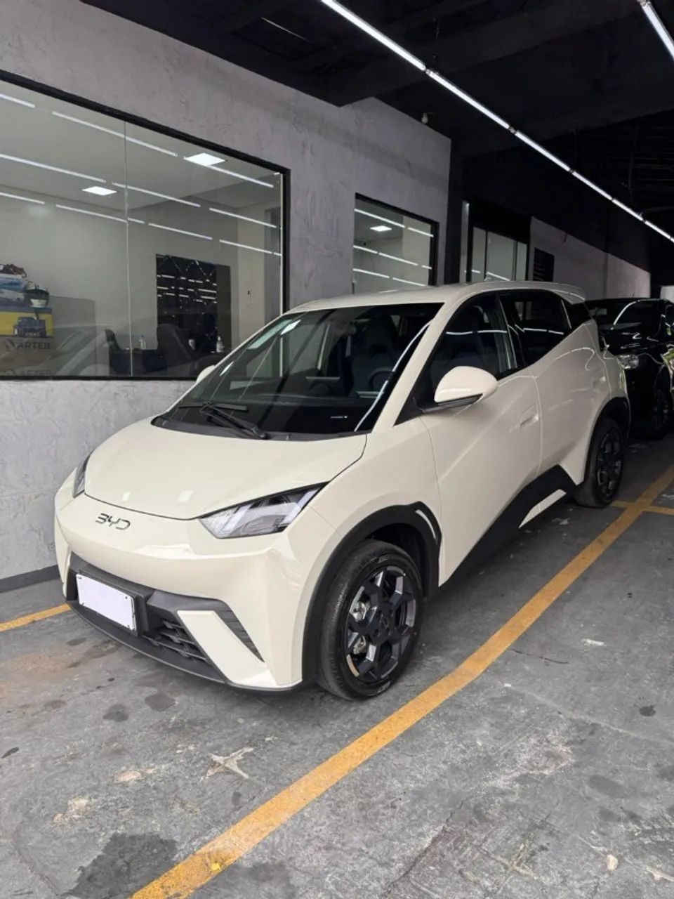 BYD Dolphin Mini (Elétrico) 2027