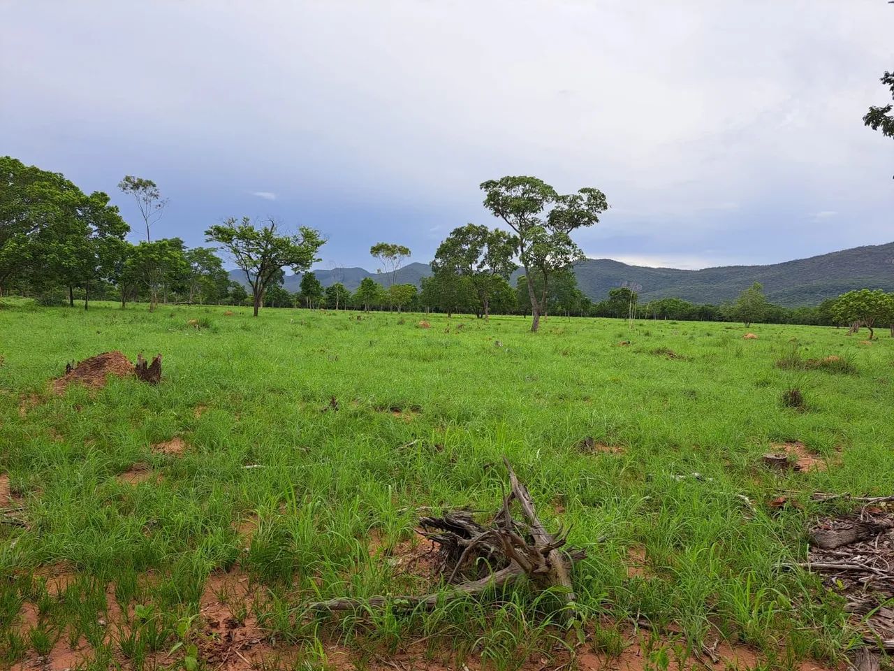 Chácara 30 hectares