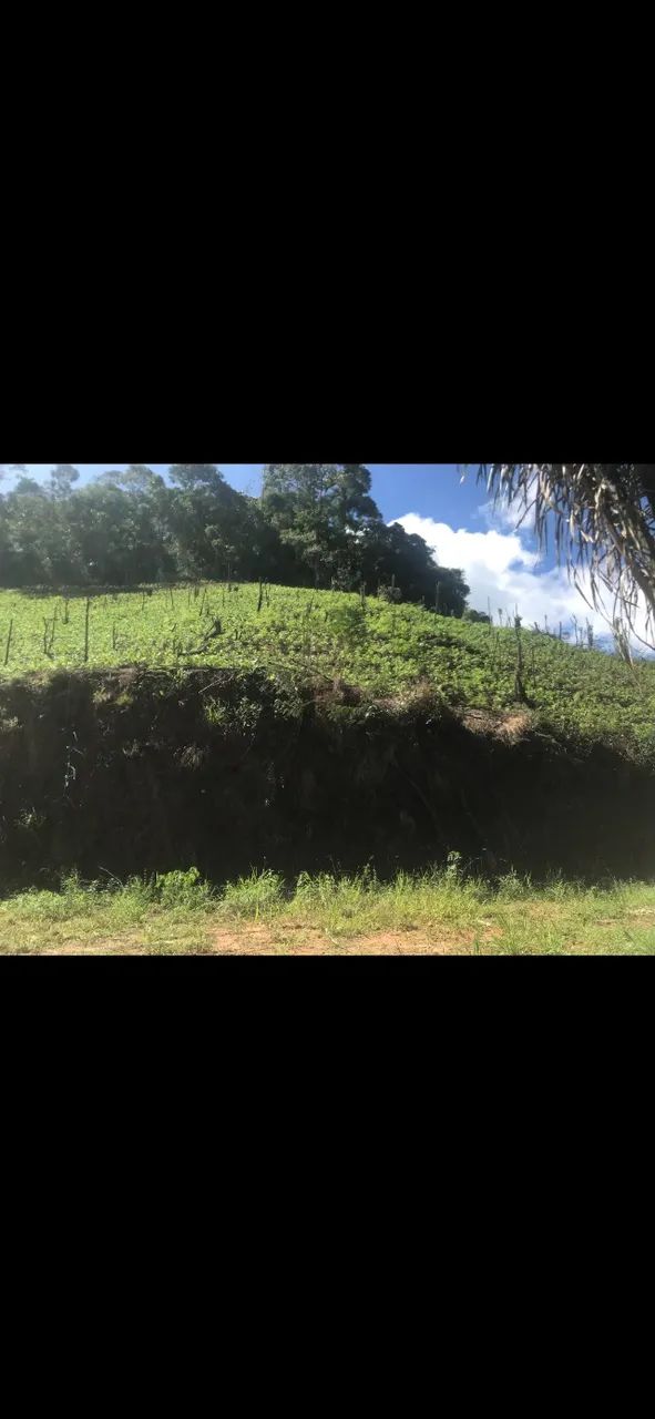 Terreno em galdinopolis vendo  - Foto 5