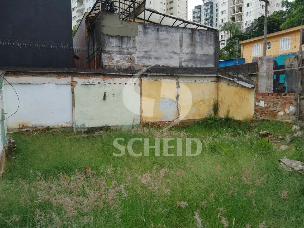 Terreno na Vila Mascote - Foto 3