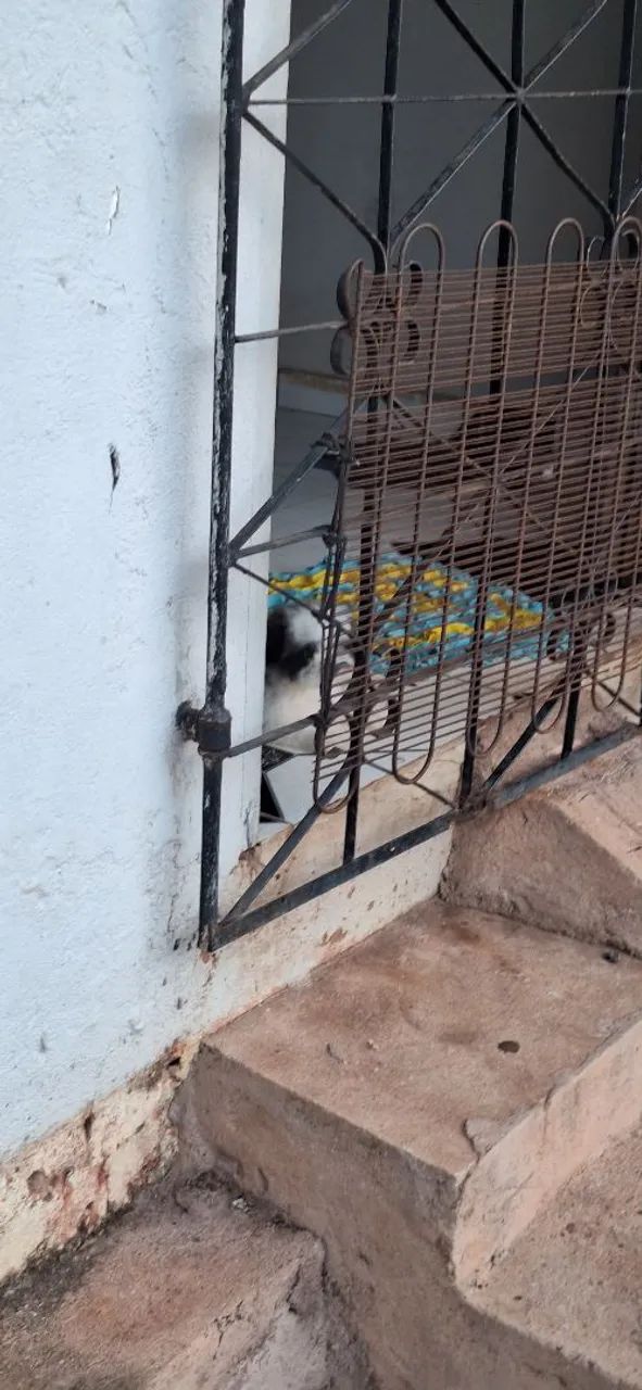 Procuro quarto/kit net pra alugar - Foto 2