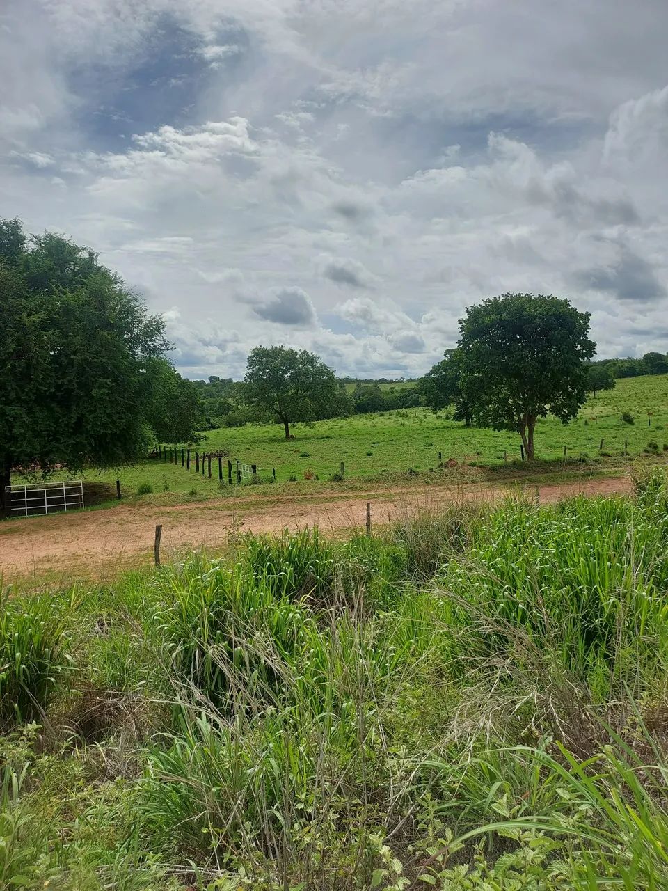 Vende se  - Foto 5