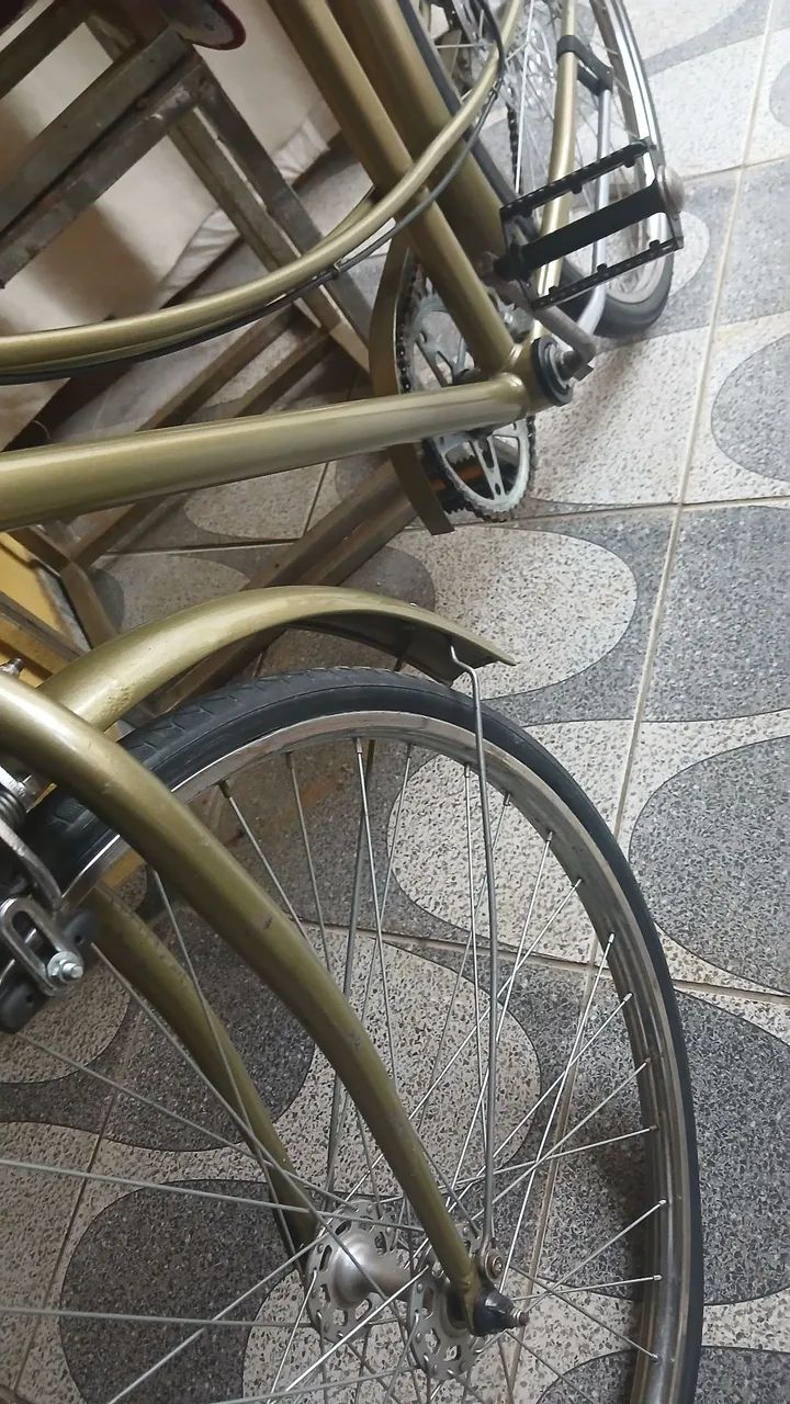 Bicicleta Antiga Ceci - Foto 2