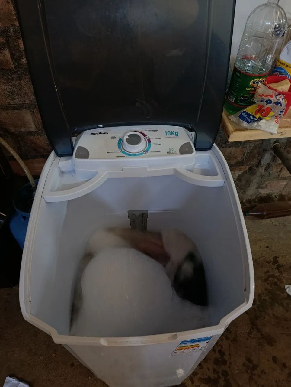Vender se tanquinho  - Foto 2