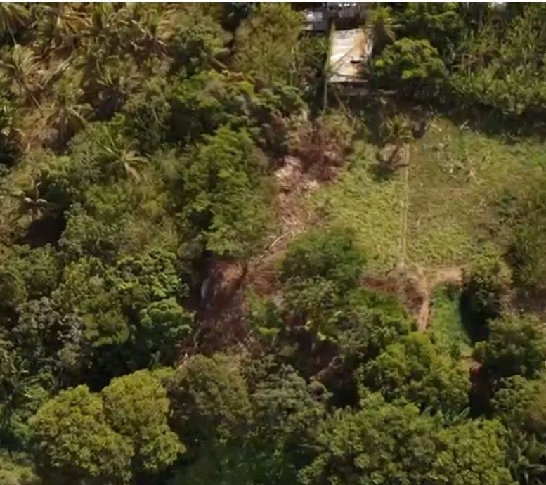 Terreno para plantio e criação de animais 