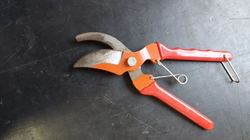 Tesoura de poda (21 cm) - Foto 2