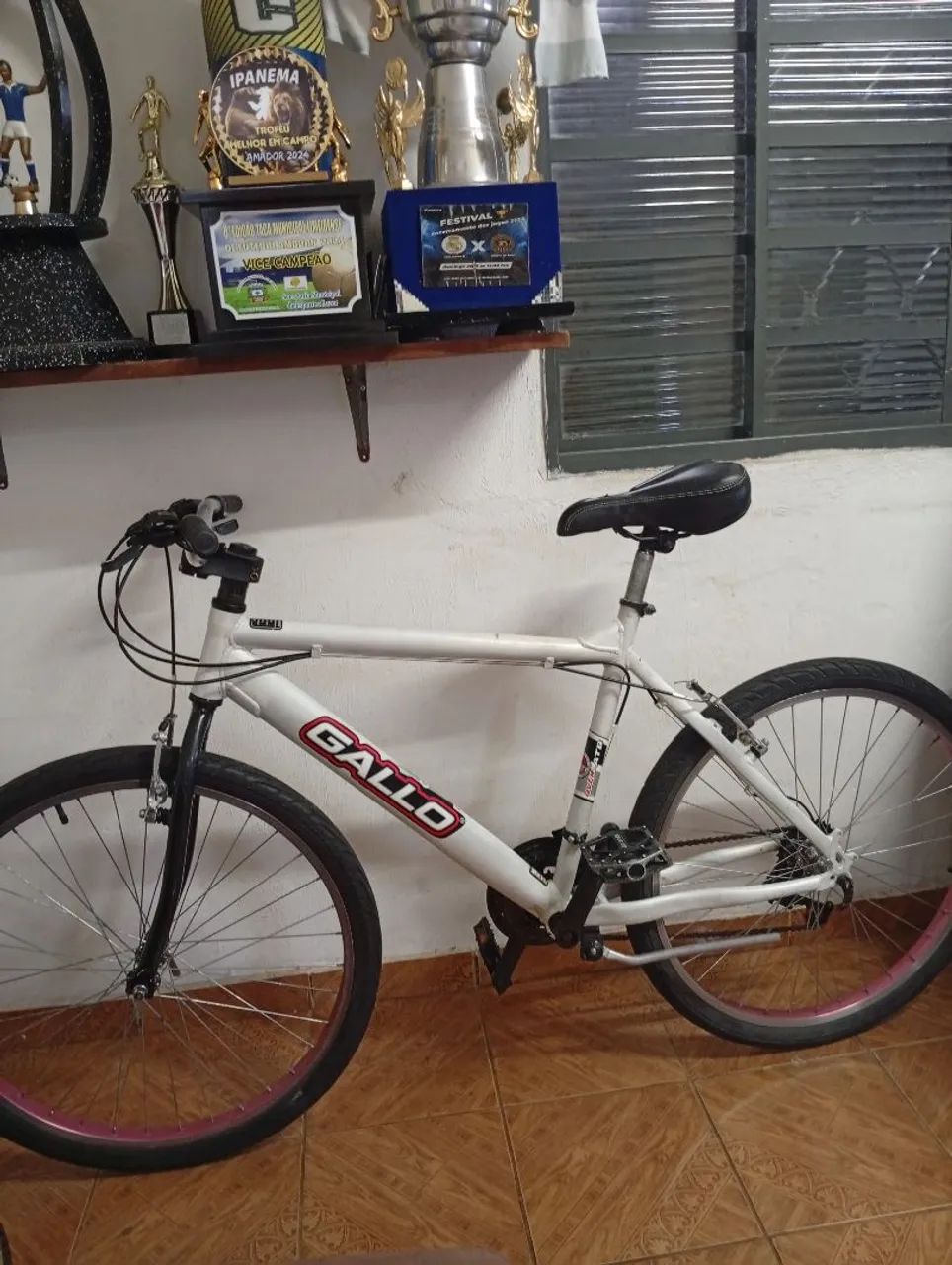Bicicleta 