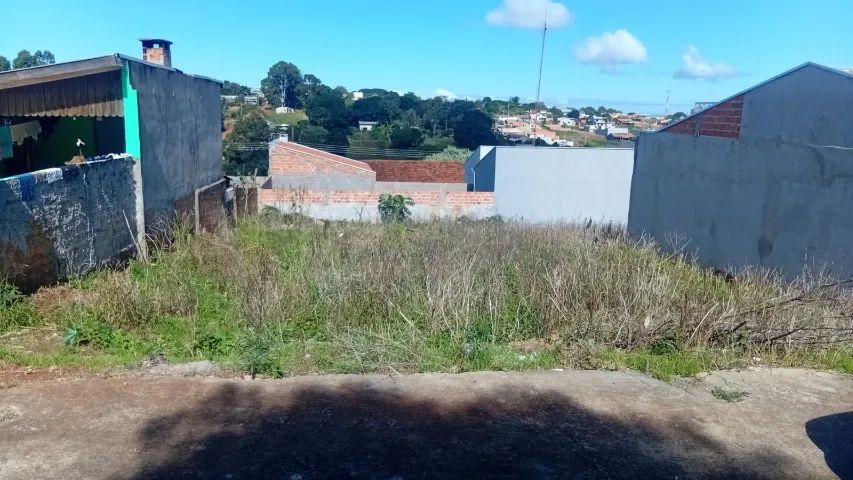 Terreno em Jd. Iraçy Faxinal/PR - Foto 2