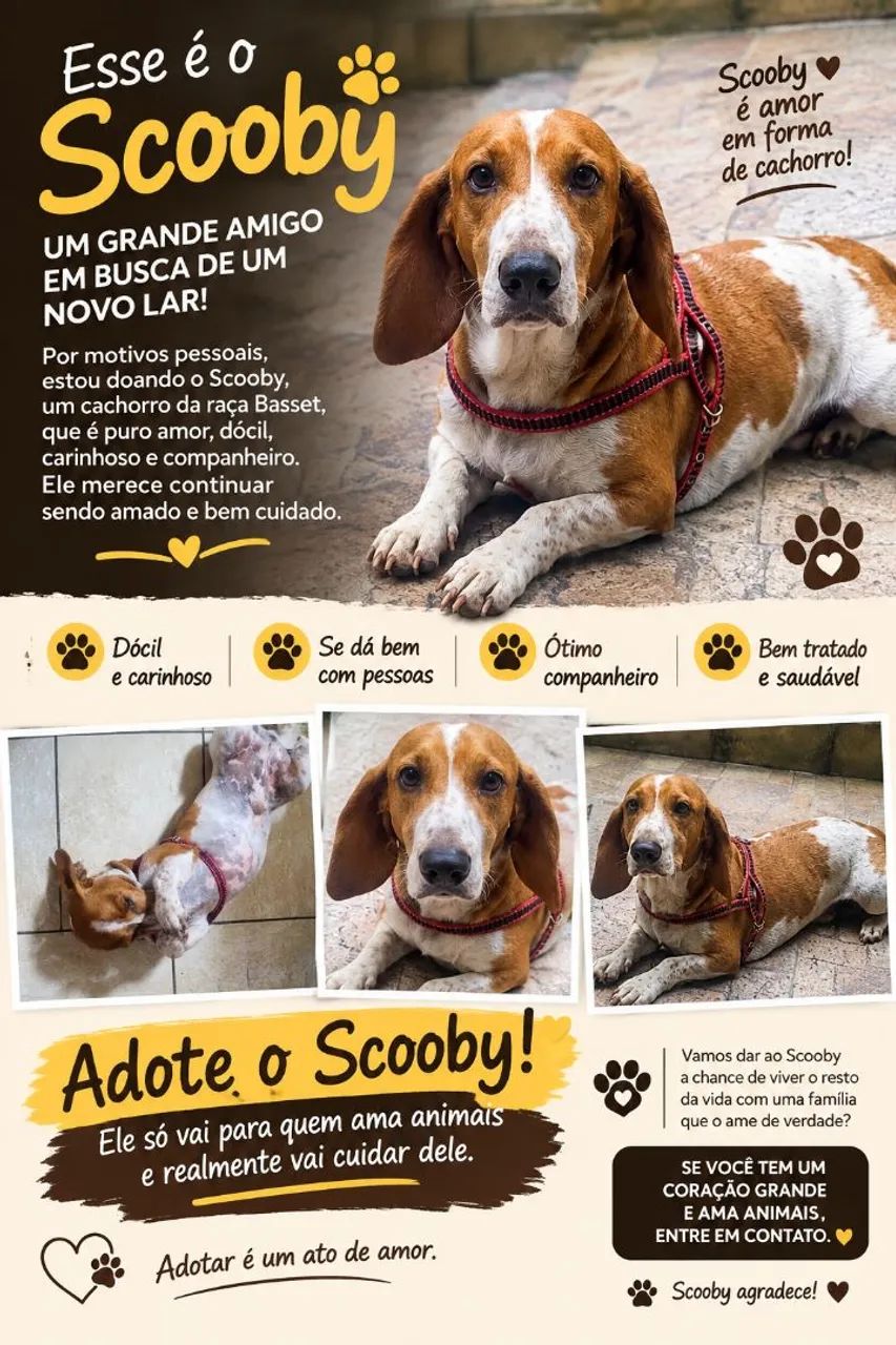 Doação lindo e dócil. 