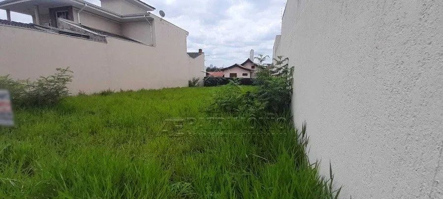 TERRENO CAMPOLIM - Foto 5