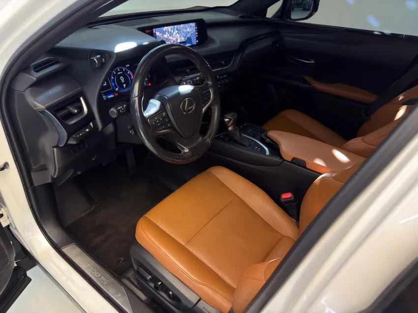 Lexus UX-250h Luxury 2.0 16V Aut.(hybrid), foto 15 de 19