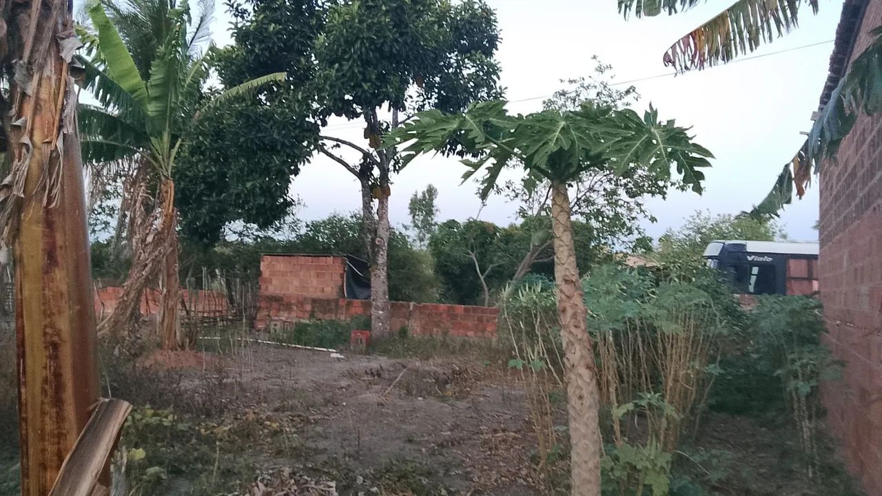 Vendo propriedade no povoado tombo  - Foto 7