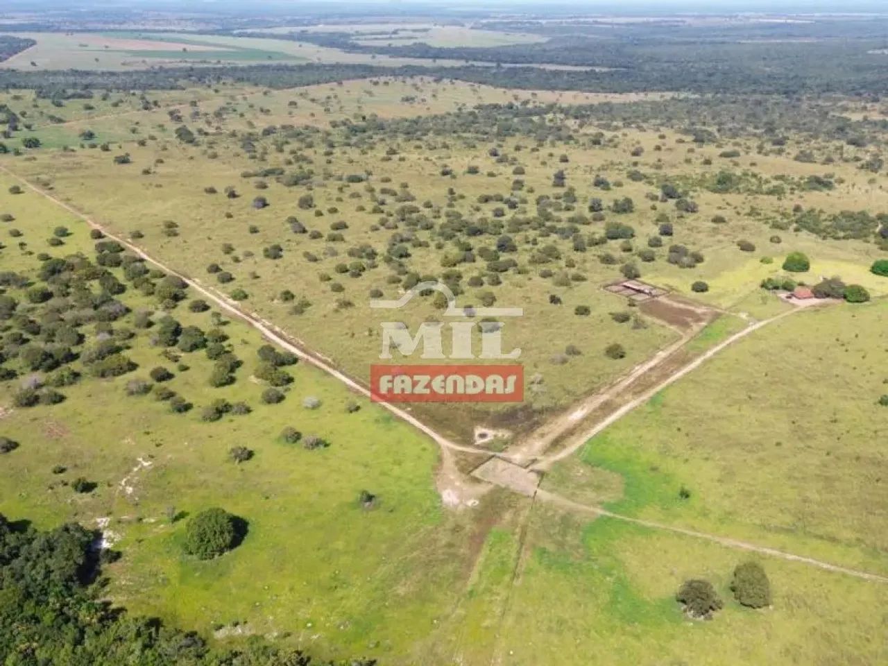 Fazenda 220 alqueires ( 1.064,8 hectares ) Peixe-TO