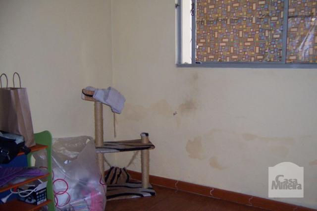 Casa à venda com 4 dormitórios em Padre eustáquio, Belo horizonte cod:212187 - Foto 6