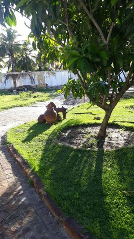 Chácara Sto Antônio - Foto 9