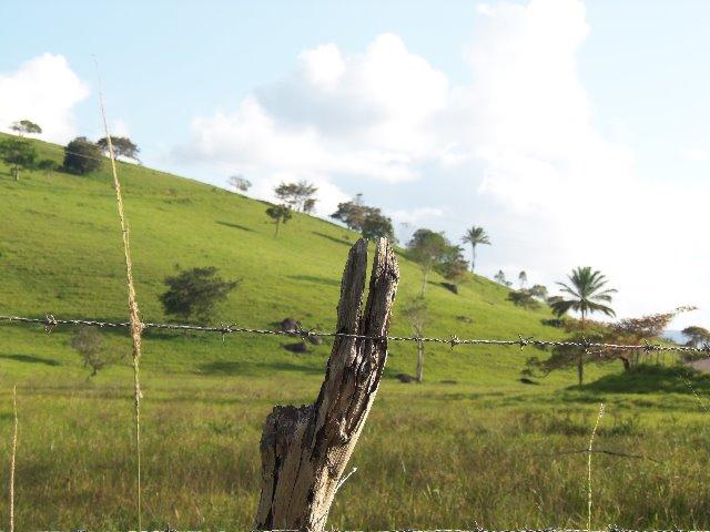 Fazenda com 700 Hectares em Barra de Guabiraba (Cód.: f20568) - Foto 6