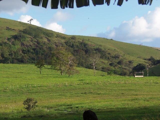 Fazenda com 700 Hectares em Barra de Guabiraba (Cód.: f20568) - Foto 17