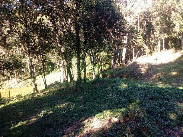 Belissima Chácara em Agudos do Sul/PR 11.500M² - Foto 6