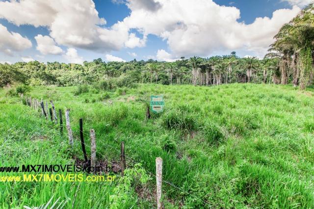 Fazenda com o melhor custo beneficio de 400 Hectares. 3 Rios - Foto 4