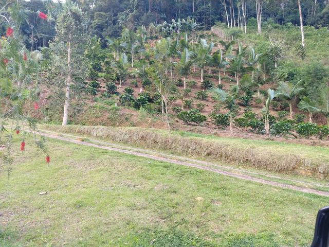 Sítio 8 hectares fim de linha em Paraju Domingos Martins - Foto 6