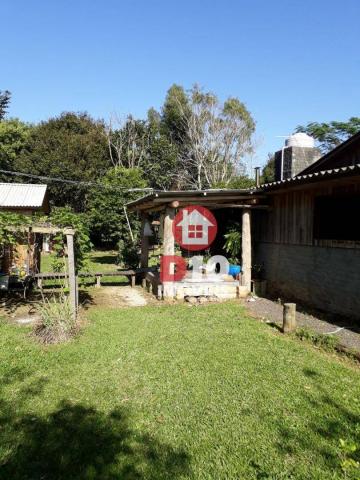 Chácara com 4 dormitórios à venda, 36000 m² por R$ 500.000 - Vila Santa Catarina - São Joã - Foto 11