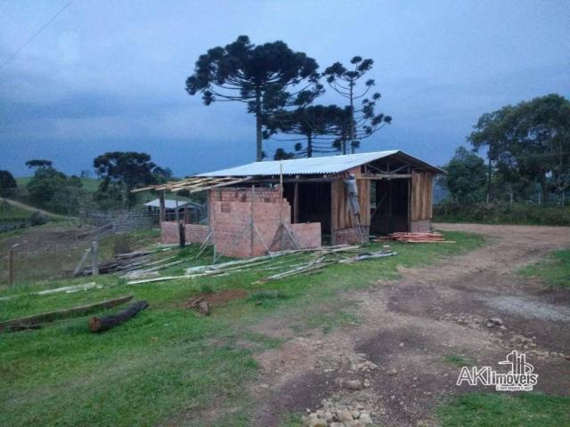 Fazenda à venda, 2699994 m² por r$ 6.500.000 - rural - reserva do iguaçu/pr - Foto 5
