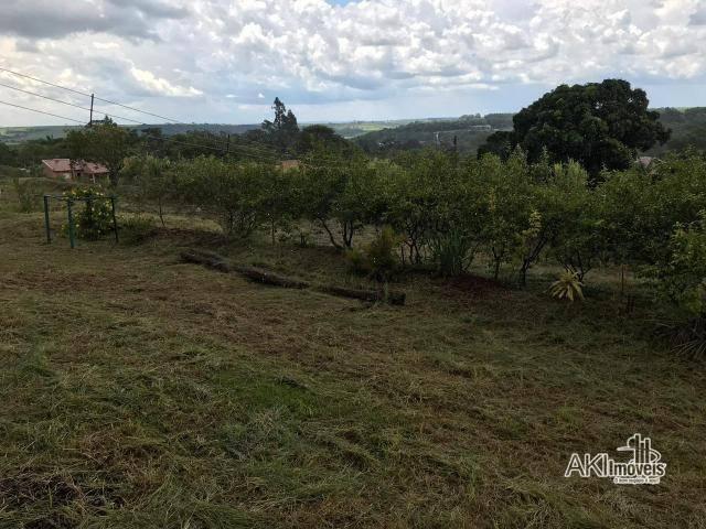 Linda chácara entre marialva e sarandi r$ 380.000 - chácara - marialva/pr - Foto 14
