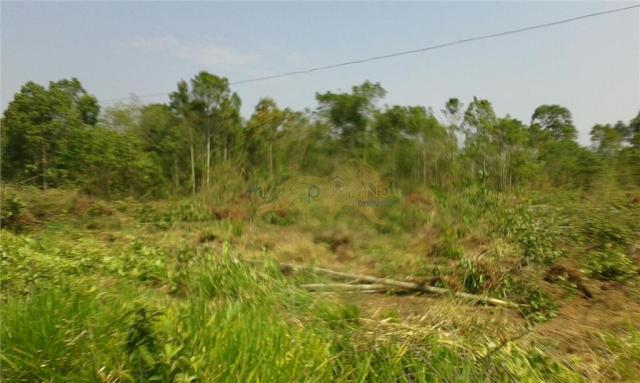 Sítio de 13,85 alq à venda em figueira-pr, si0001. - Foto 4