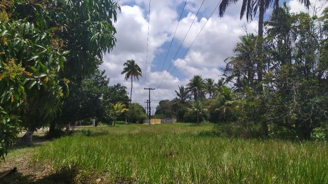 Vende-se excelente sitio em Igarassu, bem localizado - Foto 10