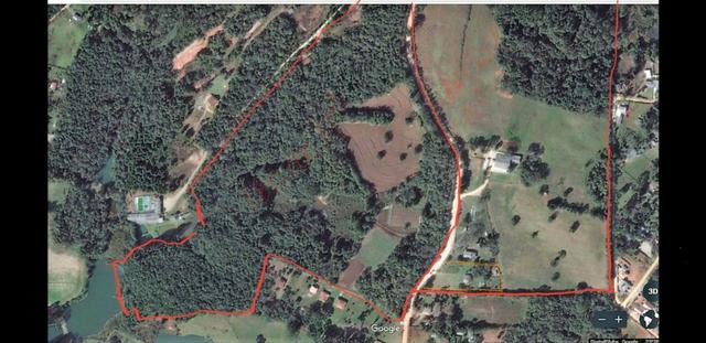 Loco linda área 144 mil m²cercada sem casa em Piraquara 2 km da Prefeitura - Foto 3