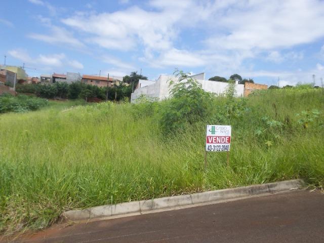 Terreno no Jardim Casa Grande R$ 65.000,00 - Foto 2
