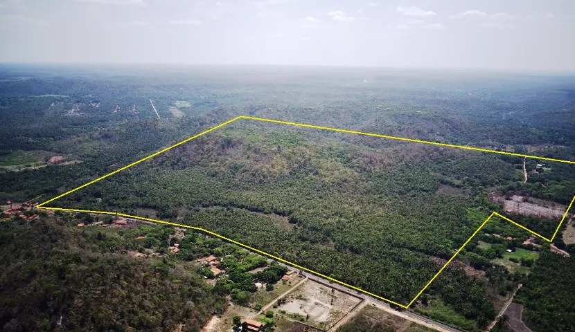 Fazenda de 95 Hectares na Cacimba Velha