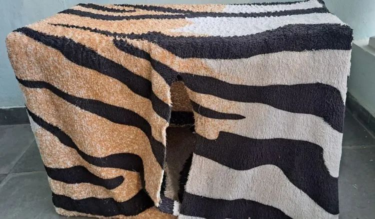 Casa desmontável para gato - Foto 4