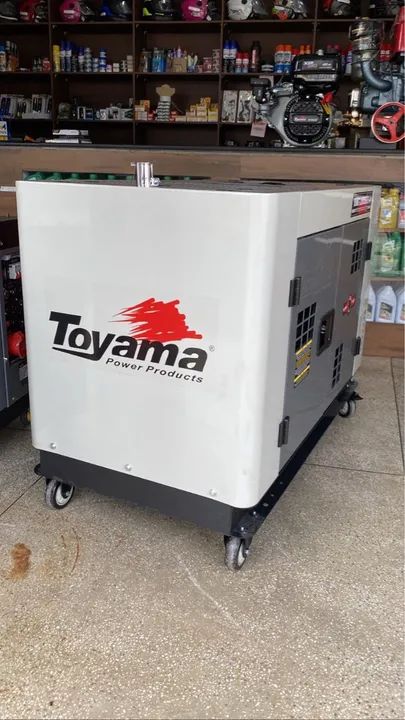 Gerador Diesel TdWG12000SGE3-N 12kva