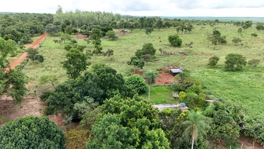 Chácara 10 hectares em Jaraguari-Ms! - Foto 3