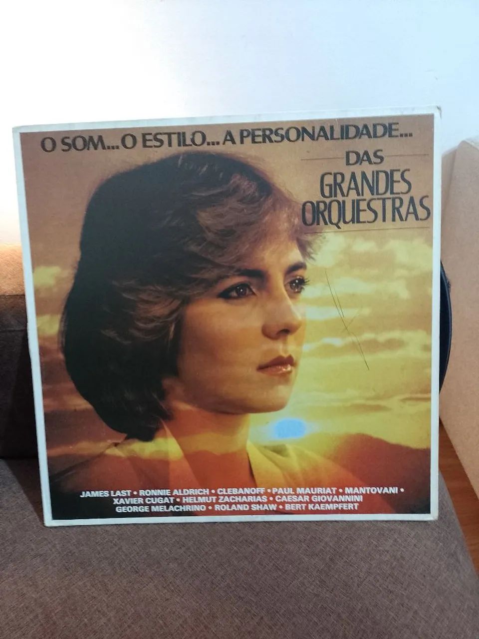 Disco de vinil