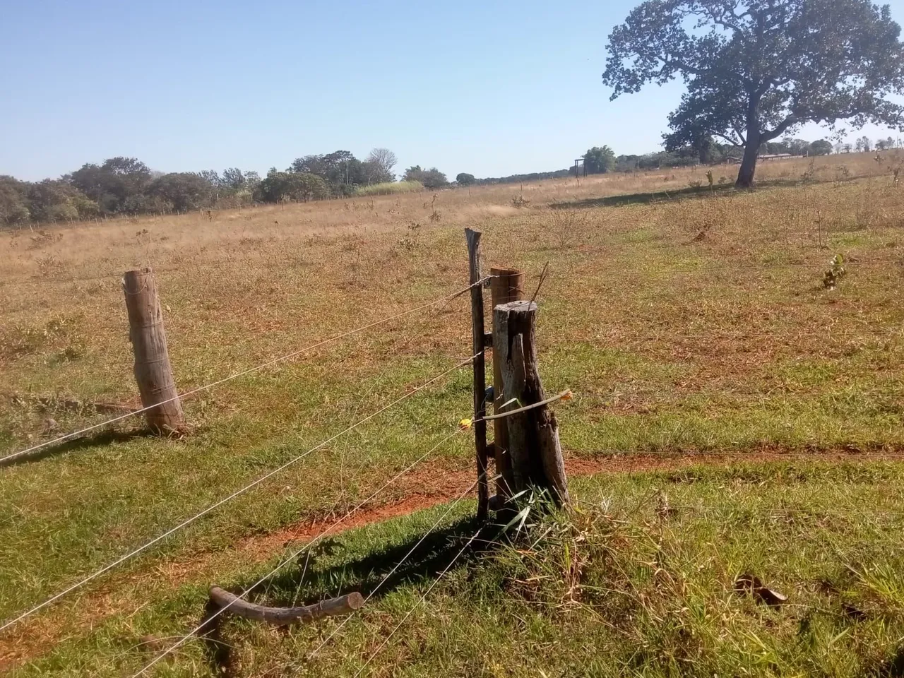 Vendo 3 hectares na Gameleira, Campo Grande
