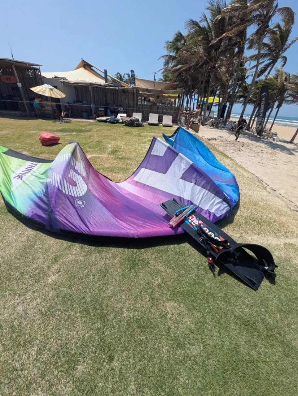 Harlem Kite Thrive 12m 2025