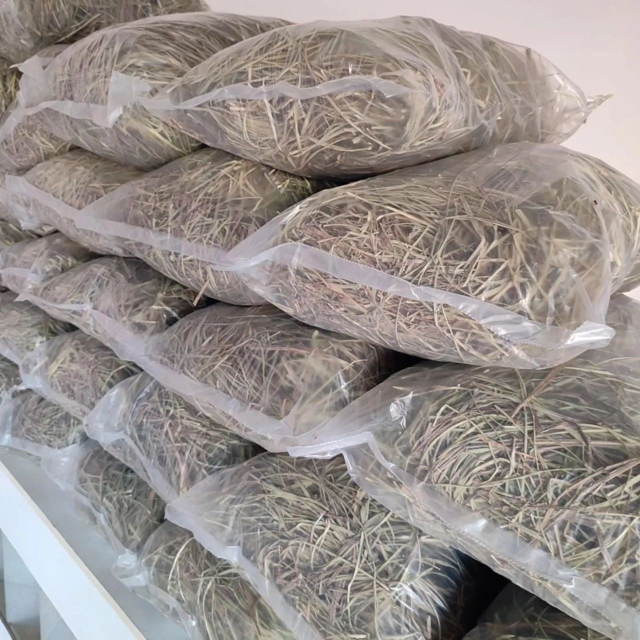 Criatório Roedores e Cia (pacote de feno disponível)