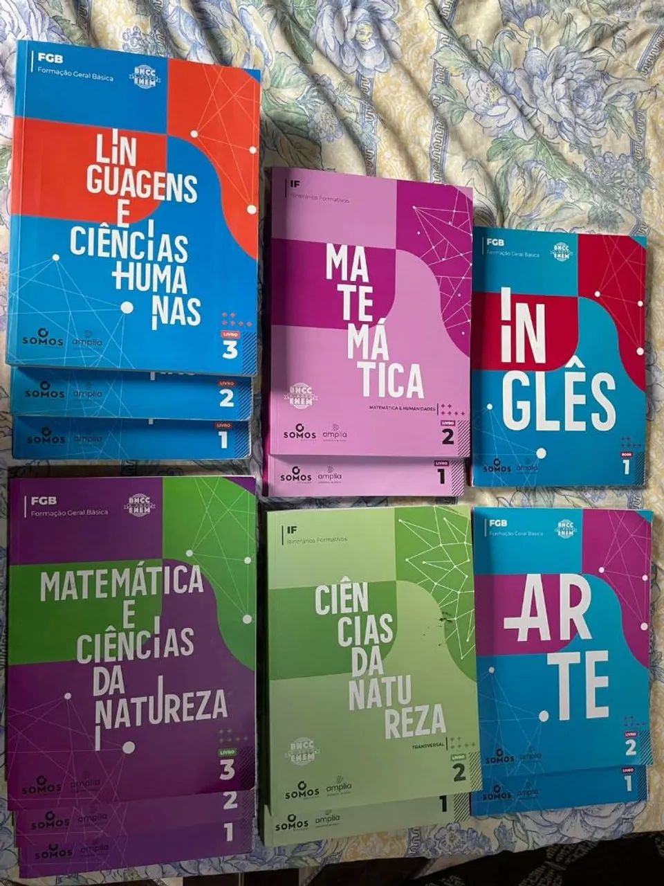 Livros Sistema Elite de Ensino 1° ano ENEM 2025 - Livros e revistas ...
