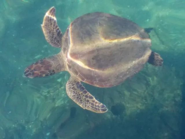 Flat em angra com lazer no condomínio e de frente para o mar azul a poucos passos da praia - Foto 17