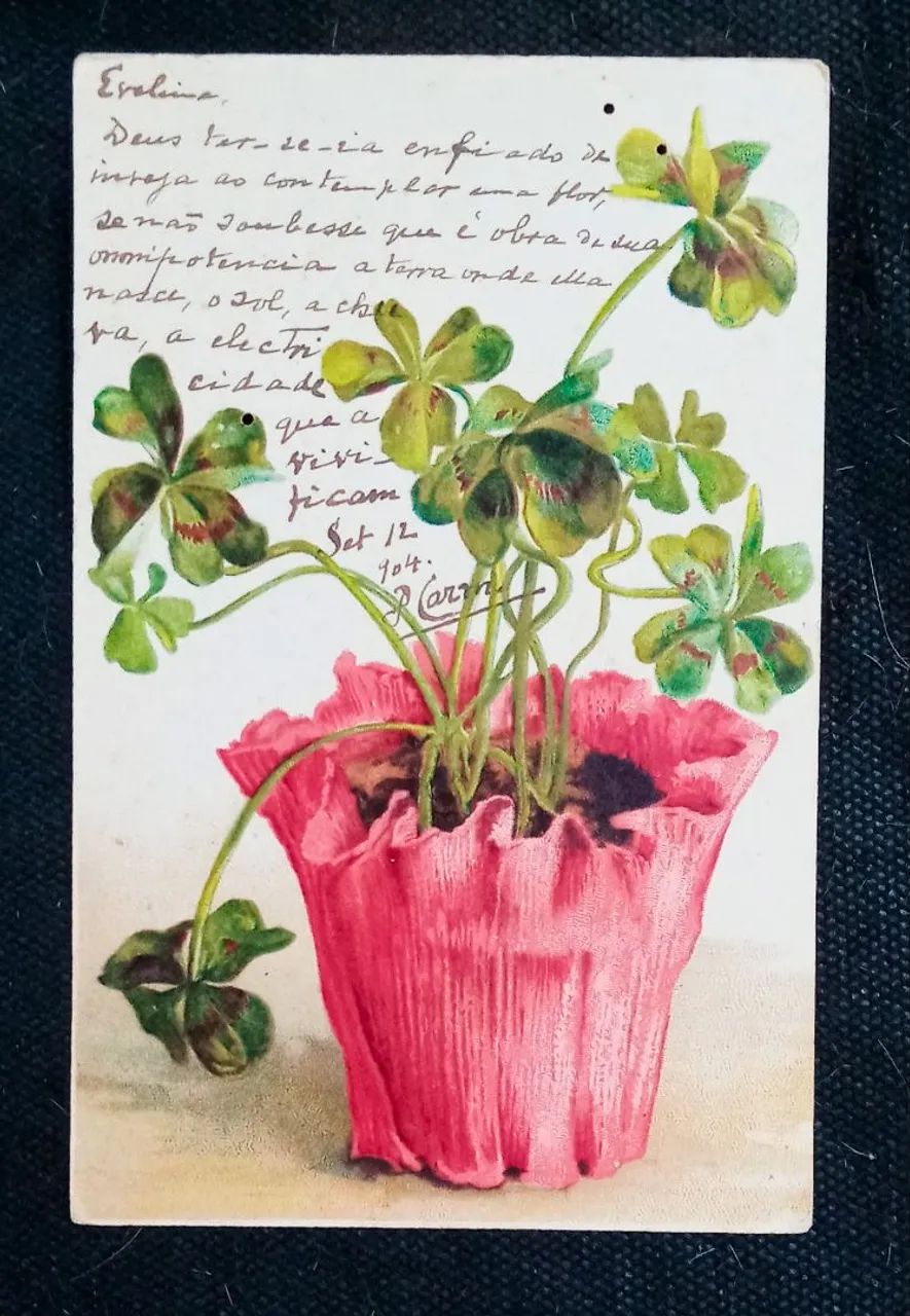 Coleção 10 Postais início do século xx Florais - Foto 4