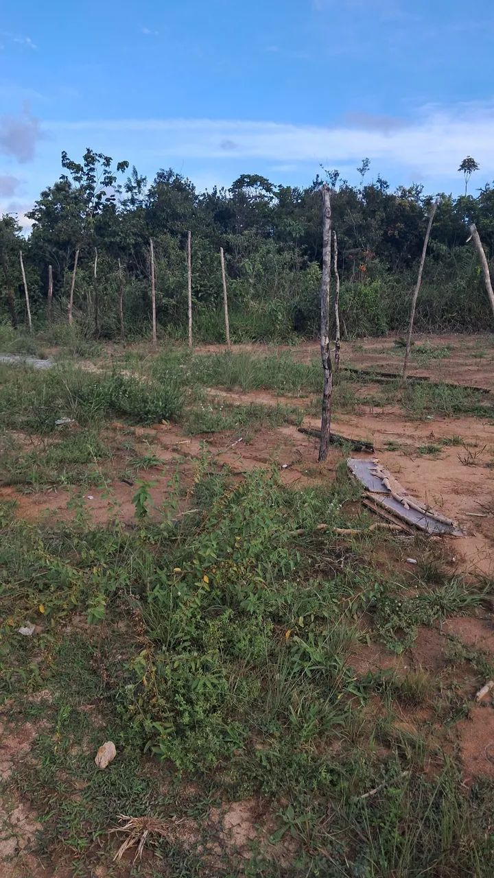 Terreno bem localizado  - Foto 4