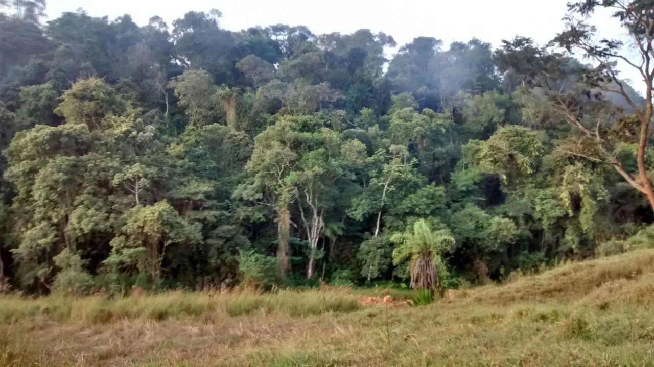 Procurando sossego? Ótimo terreno para sítio perto de BH - Foto 7