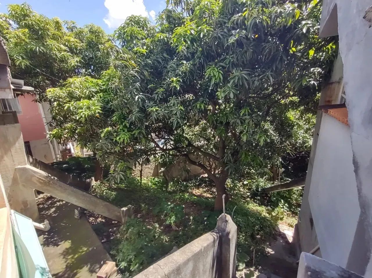 LOTE 1500M² Á VENDA NO BOM JESUS - Foto 3