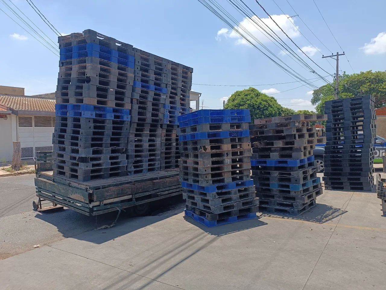 Pallet plástico 64840783549443121