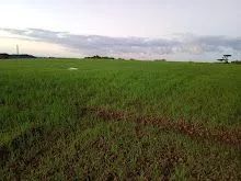Terrenos em Contenda PR,  - Foto 3