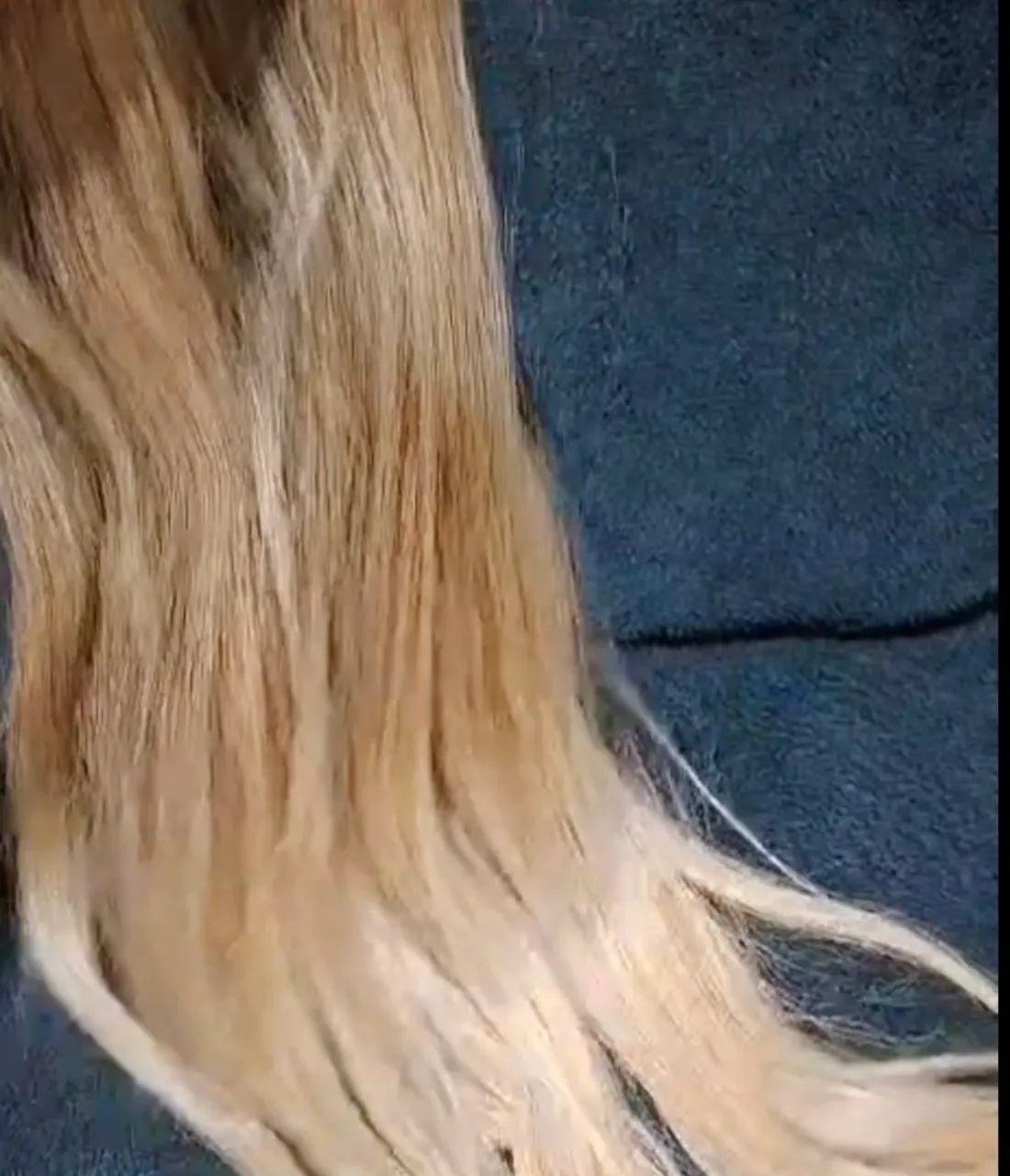 MEGA HEAR